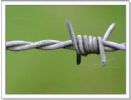 barbed wire